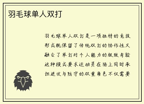 羽毛球单人双打